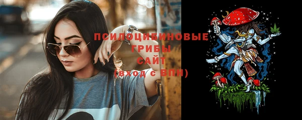 spice Бородино