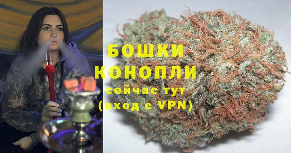 spice Бородино