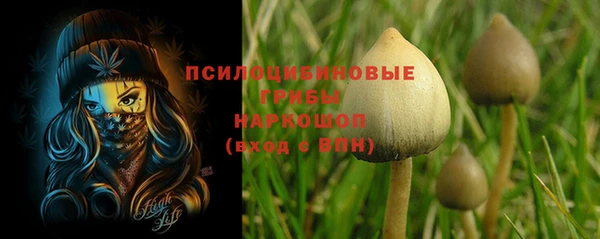spice Бородино