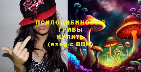 spice Бородино