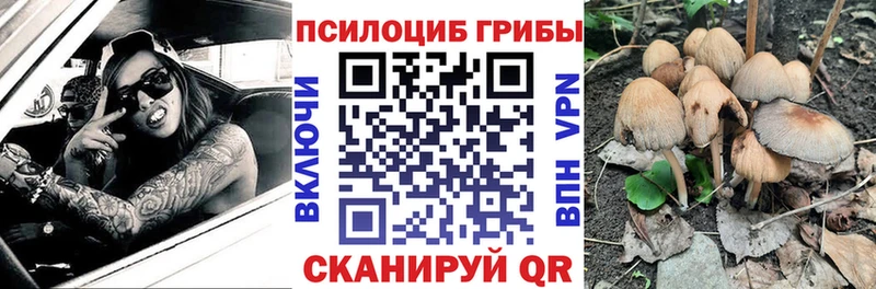Галлюциногенные грибы Magic Shrooms  Березники 